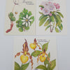 Appalachian Floral Blank Cards (6-pack)