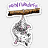 Weird & Wonderful Possum Sticker