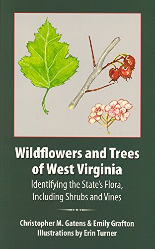 Wildflowers and Trees of West Virginia – The Red Caboose Wildflowers and Trees of West Virginia – The Red Caboose
