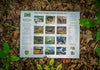 2027 West Virginia Wildlife Calendar