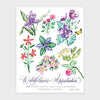 Appalachian Wildflower Art Print 11" x 14"