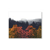 Blue Ridge Mountain Trees - 8"x 10" Art Print