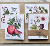 Culinary Fruit Botanical Greeting Card Set (8-pack)