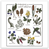 Foraging in West Virginia Sticker