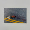 Still Life with Possum Postcard
