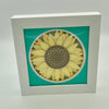 Sunflower Shadowbox 5x5