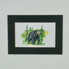 Bear 5x7 Art Print
