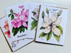 Flora of the Smoky Mountains Greeting Card Set (8-pack)