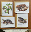 Cold-Blooded Friends Blank Note Card pack