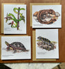 Cold-Blooded Friends Blank Note Card pack