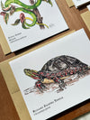 Cold-Blooded Friends Blank Note Card pack