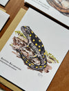 Cold-Blooded Friends Blank Note Card pack
