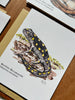 Cold-Blooded Friends Blank Note Card pack