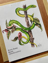 Cold-Blooded Friends Blank Note Card pack