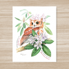 Screech Owl & Rhododendron Art Print 11x14
