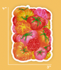 Tomato Season Sticker