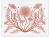 Dandelion Bloom Print