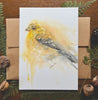 American Goldfinch Watercolor Greeting Card