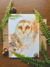 Barn Owl Watercolor Greeting Card