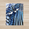 Blue Jay Wing Art Print 11x14