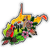 Americana-Style Tattoo WV Cardinal Sticker