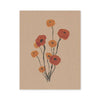 Poppies Print - 8.5x11