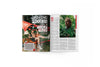 YNST Magazine, Issue 13