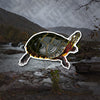 Painted Turtle Sticker