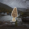 Yellow Morel Sticker