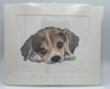 Puppy Print 2