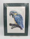 Parrot Print B