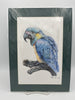 Parrot Print B