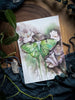 Luna Moth Watercolor Greeting Card