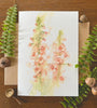 Moth Mullein Watercolor Greeting Card