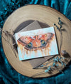 Polyphemus Moth Watercolor Greeting Card
