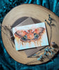 Polyphemus Moth Watercolor Greeting Card