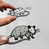 Little Possum Patch