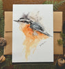 Red-breasted Nuthatch Watercolor Greeting Card