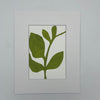 Floral Monoprint 8