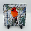 Square Cardinal Slate