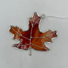Maple Leaf Stained Glass