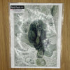 Bigfoot Print 4-Pack