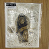 Bigfoot Print 5-Pack