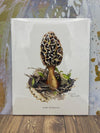 Morel Mushroom Art Print 8x10