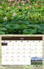 2026 West Virginia Scenics Wall Calendar