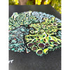 Forest Lichen Art Print 11x14