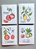 Fruit Botanical Greeting Cards (8-pack)