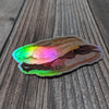 Mary B Biscuit Holographic Sticker