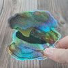Thundering Herd Biscuit Holographic Sticker