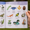 Watercolor in Nature: Paint Woodland Wildlife and Botanicals with 20 Beginner-Friendly Projects